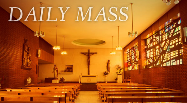 daily mass