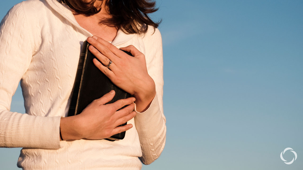 The Holy Spirit Will Teach You Everything Catholicyouthministry Com