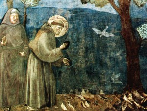 St.FrancisPreachingtotheBirds_Giotto
