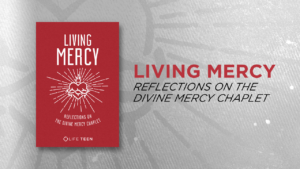 2016-livingmercy-marketing