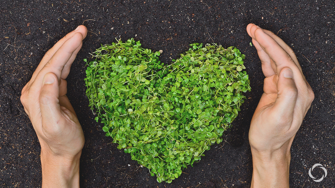 Embrace Your Inner Environmentalist - LifeTeen.com for Catholic Youth